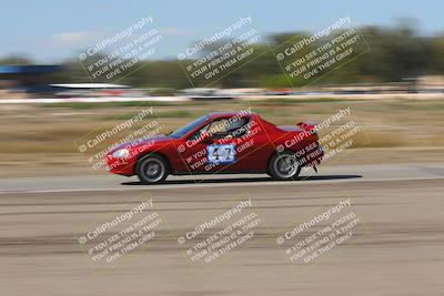 media/Oct-04-2025-OnGrid (Sat) [[44bd565ffa]]/Purple Group/Grapevine/